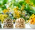 The Science Behind Supplements: How They Work and Why You Need Them