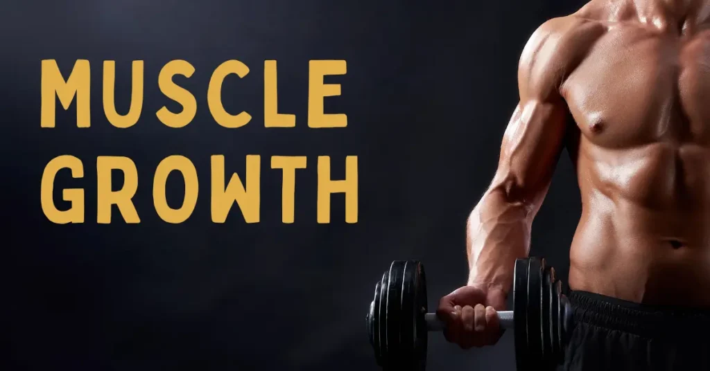 Supplements to Support Muscle Growth and Recovery