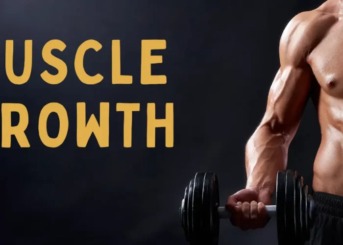 Supplements to Support Muscle Growth and Recovery