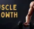 Supplements to Support Muscle Growth and Recovery